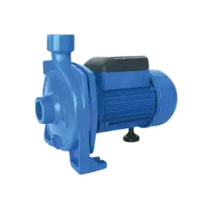 ปั๊มหอยโข่ง RADISON RDC150 1HP 220V. 1.5"
