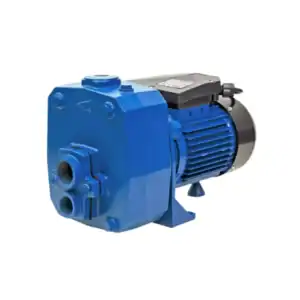ปั๊มเจ็ทคู่ POLO DP750A 2HP